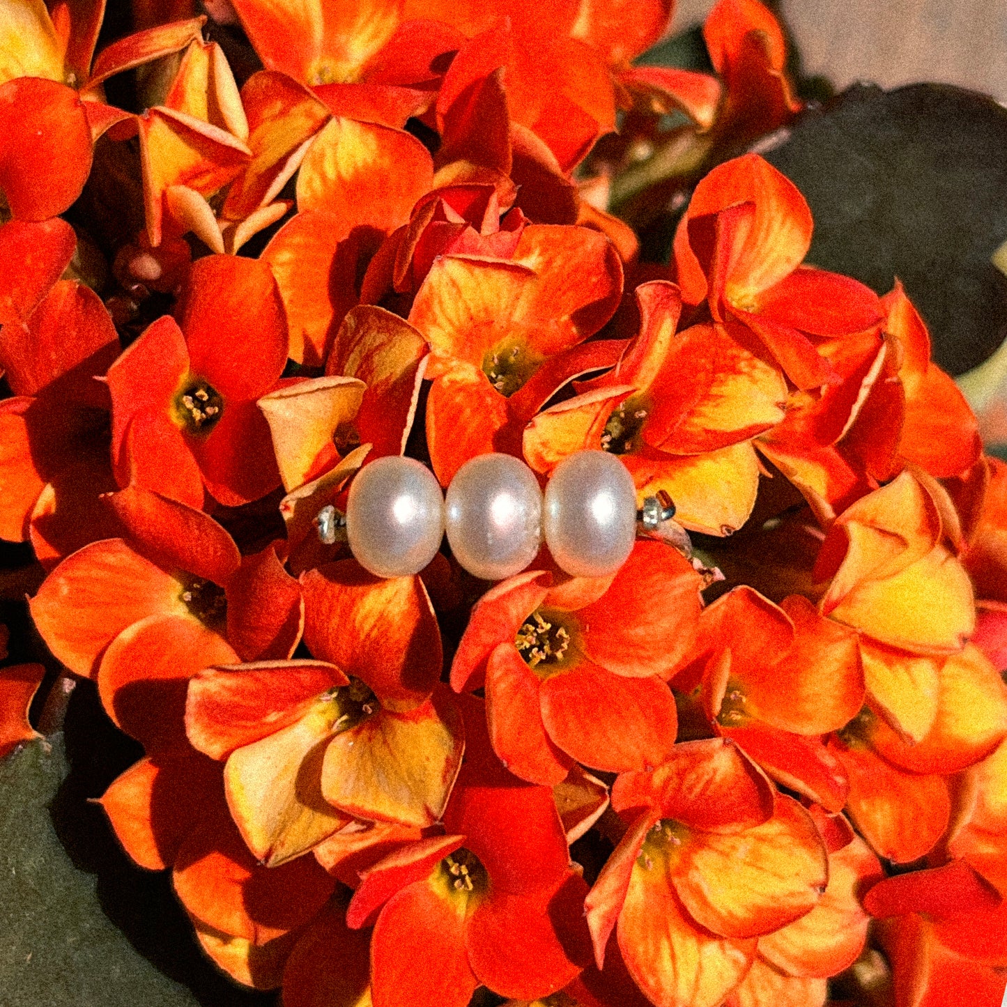 Kate Pearl Ring